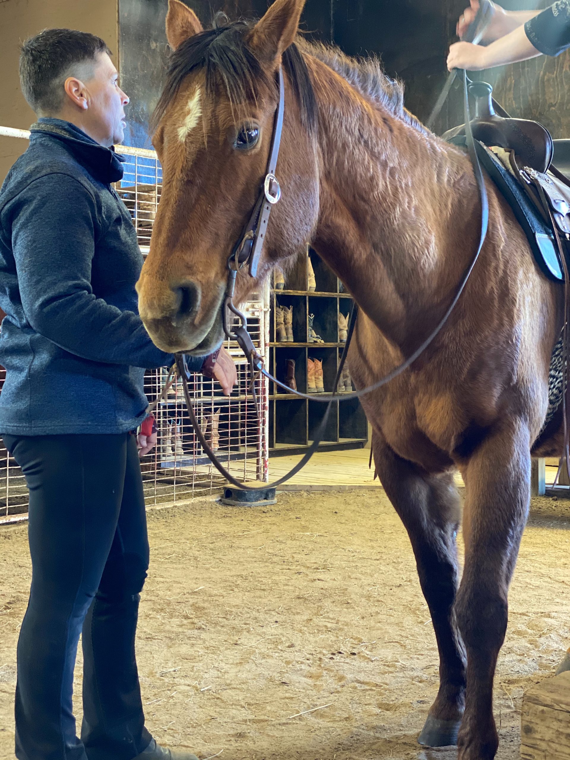 A person is standing beside a brown horse that is saddled and in an indoor area, likely a stable. The person is holding the horse's reins while another person appears to be adjusting the saddle. Horse riding gear and other supplies are visible in the background.