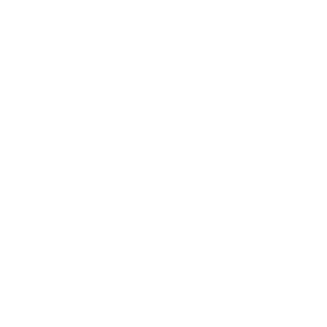 A stylized white bird silhouette in the shape of a swift, set against a solid black background. The image is enclosed within a white circle. The bird is depicted in a streamlined, minimalist design.