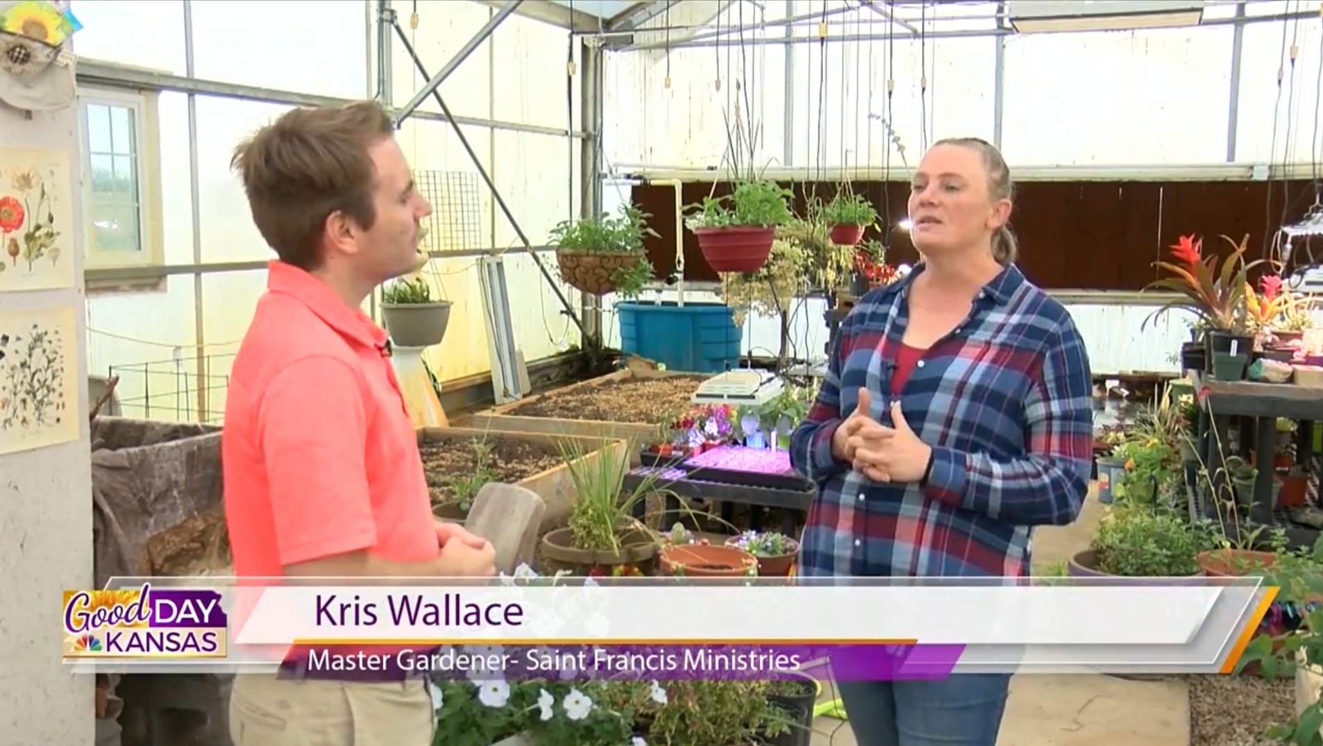 Two people are conversing inside a greenhouse filled with plants. The person on the left is wearing an orange shirt, and the person on the right, identified as Kris Wallace, is wearing a blue and red plaid shirt. The caption notes Kris Wallace as a Master Gardener from Saint Francis Ministries.