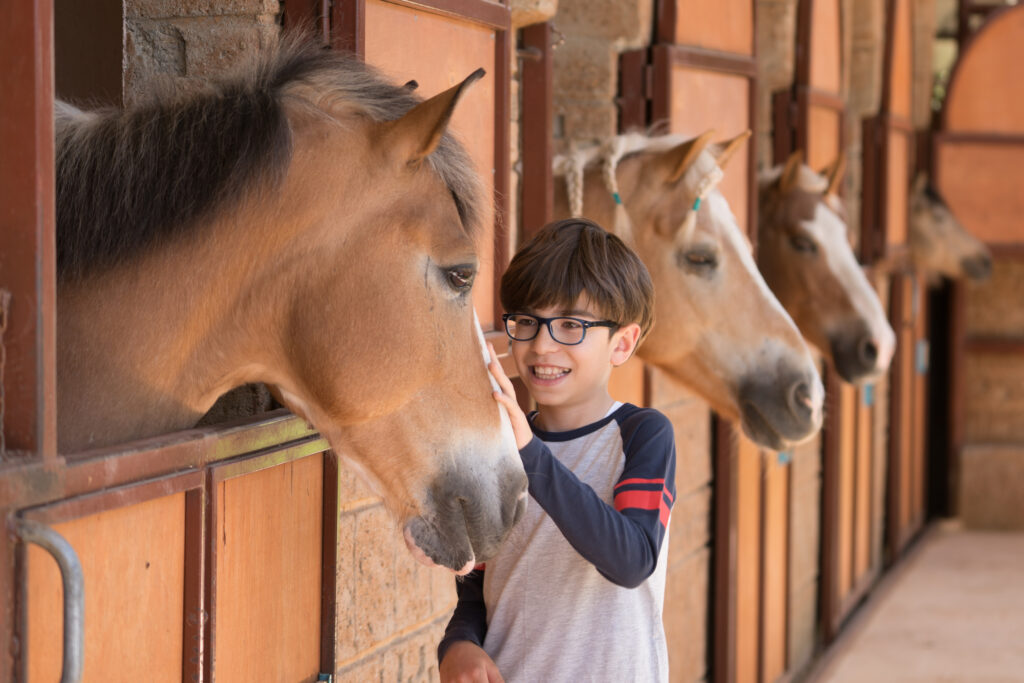 A young boy wearing glasses and a long-sleeved shirt pets a horse inside a stable. Several other horses are visible in adjacent stalls. The boy is smiling, and the stall doors are wooden with metal bars. The stable appears well-maintained and clean.