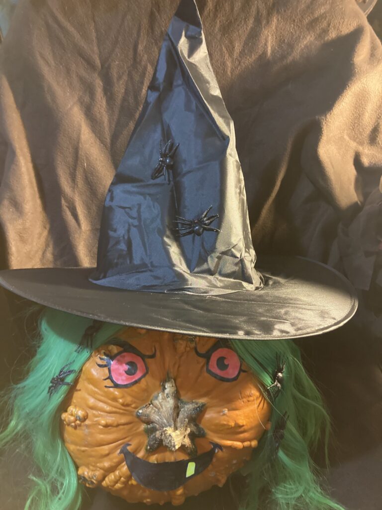 A carved pumpkin with green hair wears a black witch hat adorned with small spiders. It has pink eyes and a stitched black smile. The background is draped in a dark fabric.