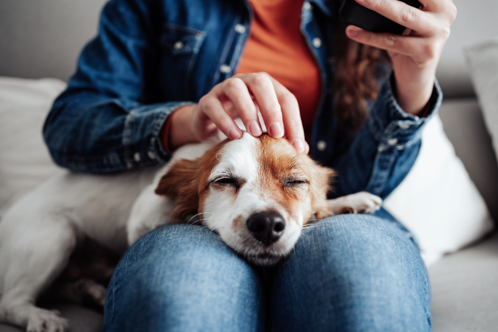 A person wearing jeans and a denim jacket is sitting on a couch, using a smartphone while gently petting a relaxed dog resting its head on their lap.